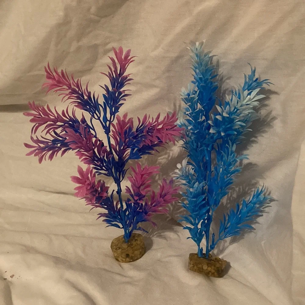 Pink and blue aquarium plants